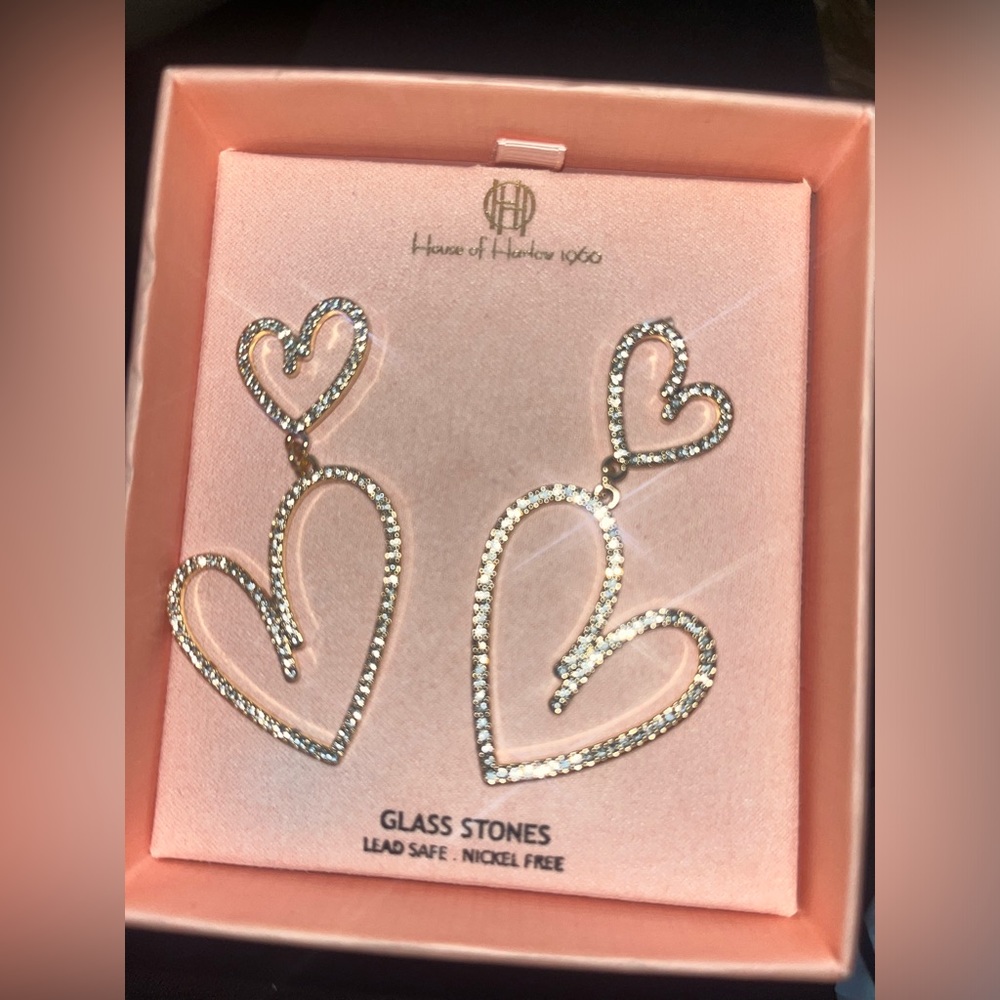 Women’s earrings jewelry.